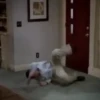 Alan Harper Mov 19