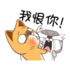 Funny Bunny 17