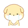 PUPPY.  mov. 17