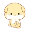 PUPPY.  mov. 18