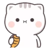 Gatito tierno 16