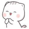 Gatito tierno 20