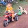 PUGS 2  Mov 19