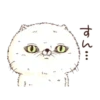 Japanese cat 16