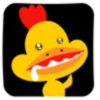 Crazy rooster 16