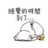 Funny Bunny 19