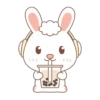 Rabbit mov 17