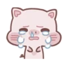 Daily life of Piggy 14
