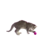 ️ perros y gatos   mov 22