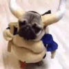 PUGS 2  Mov 20