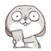 Funny Bunny 22