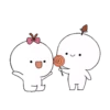 ️cotton couple 17