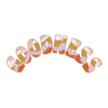 ANIMATED TEXT 15