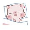 Daily life of Piggy 17