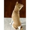 Perros Animados 2 21