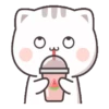 Gatito tierno 24