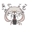 Funny Bunny 23