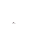 ️ perros y gatos   mov 25