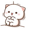 Peach Cat13 16