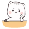 Gatito tierno 26