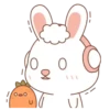 Rabbit mov 23