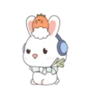 Rabbit mov 24