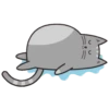 ● Cat Milton Mov. ● 22
