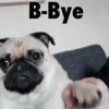PUGS 2  Mov 24