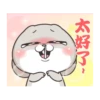 Funny Bunny 24