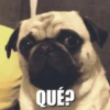 PUGS 2  Mov 27