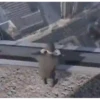 GTA 2 27