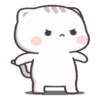 Gatito tierno 29