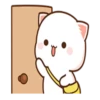Peach Cat13 18