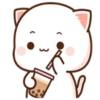 Peach Cat13 19