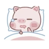 Daily life of Piggy 24