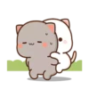 Peach Cat13 21
