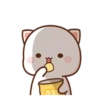 Peach Cat13 22