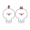 ️cotton couple 24