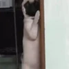 я слежу за тобой 5