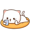 MOCHIS CAT Extra"C" MOV 5