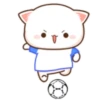 MOCHIS CAT Extra"C" MOV 6