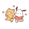POCHACCO 8