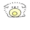 Cotton Candy Pup 6
