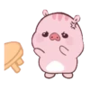 Cupatkai the Pig! 7
