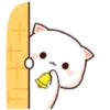 MOCHIS CAT Extra"C" MOV 9