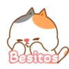 Tonton Friends 5