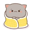 MOCHIS CAT Extra"C" MOV 12
