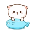 MOCHIS CAT Extra"D" MOV 6