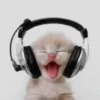 Music 9