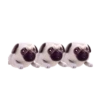 PUGS  MOV 7